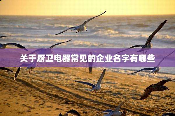 关于厨卫电器常见的企业名字有哪些