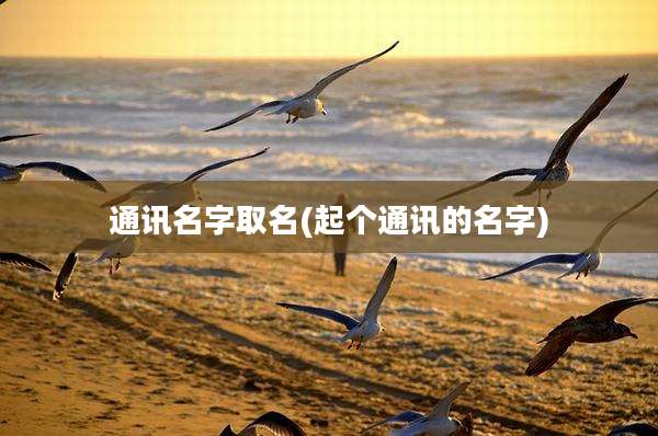 通讯名字取名(起个通讯的名字)