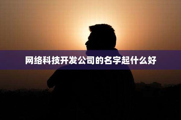 网络科技开发公司的名字起什么好