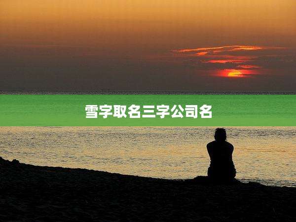 雪字取名三字公司名