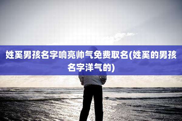 姓奚男孩名字响亮帅气免费取名(姓奚的男孩名字洋气的)