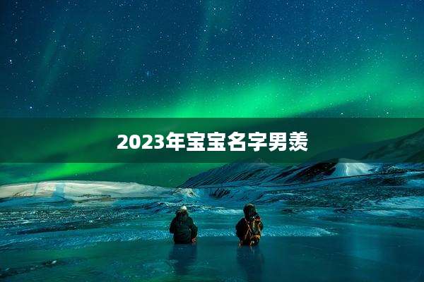 2023年宝宝名字男羡