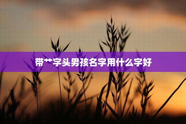 带艹字头男孩名字用什么字好