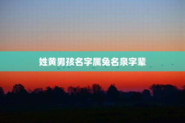 姓黄男孩名字属兔名泉字辈