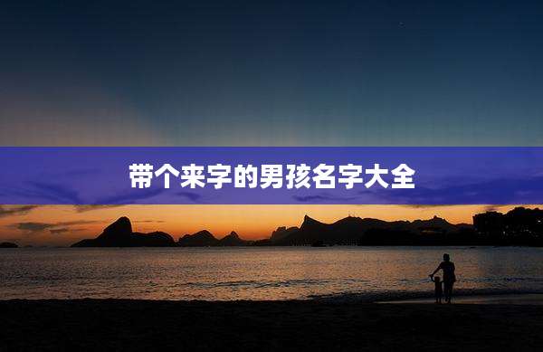 带个来字的男孩名字大全