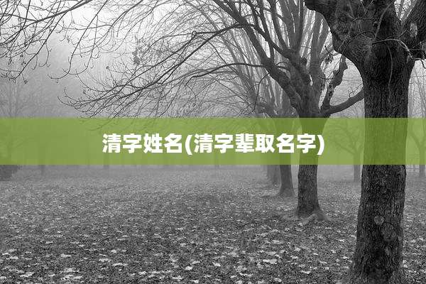 清字姓名(清字辈取名字)