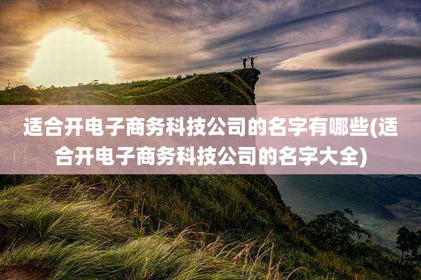 适合开电子商务科技公司的名字有哪些(适合开电子商务科技公司的名字大全)