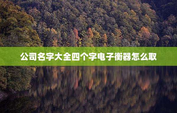 公司名字大全四个字电子衡器怎么取