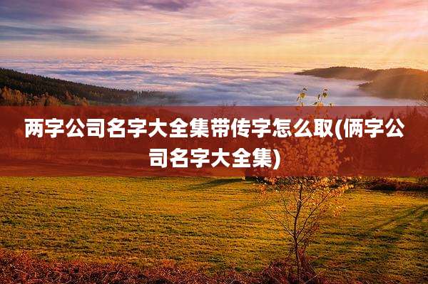 两字公司名字大全集带传字怎么取(俩字公司名字大全集)