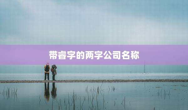 带睿字的两字公司名称