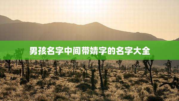 男孩名字中间带婧字的名字大全