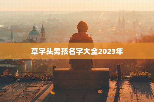 草字头男孩名字大全2023年