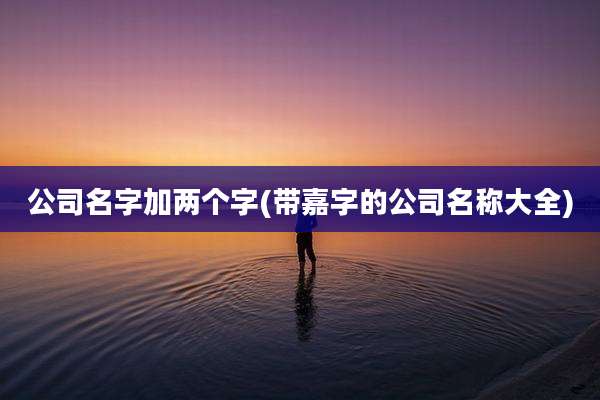 公司名字加两个字(带嘉字的公司名称大全)