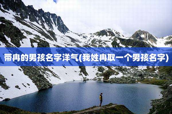 带冉的男孩名字洋气(我姓冉取一个男孩名字)