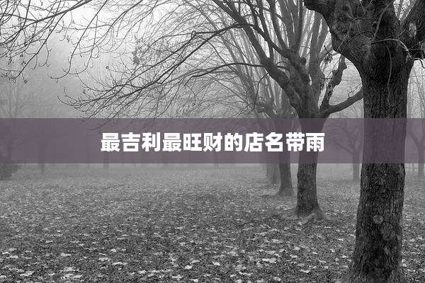 最吉利最旺财的店名带雨