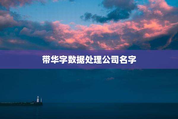 带华字数据处理公司名字