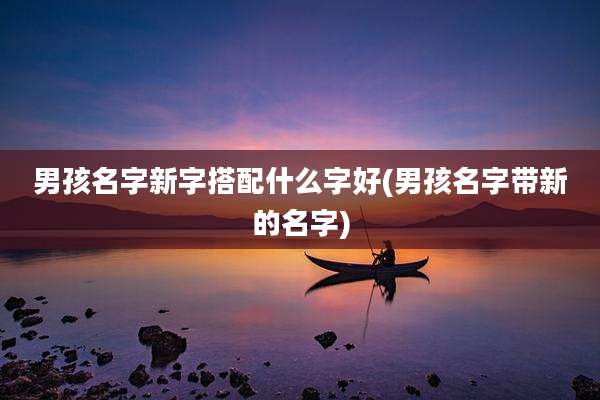 男孩名字新字搭配什么字好(男孩名字带新的名字)