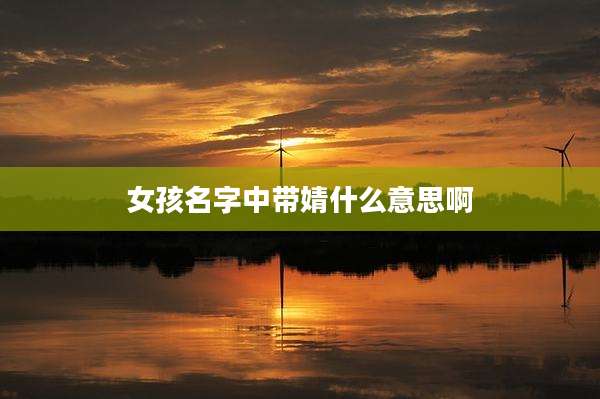 女孩名字中带婧什么意思啊