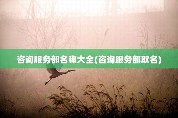 咨询服务部名称大全(咨询服务部取名)