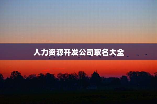 人力资源开发公司取名大全