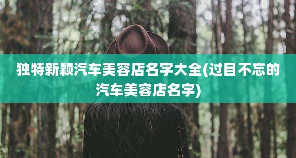 独特新颖汽车美容店名字大全(过目不忘的汽车美容店名字)