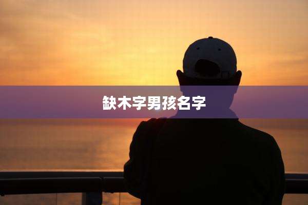 缺木字男孩名字