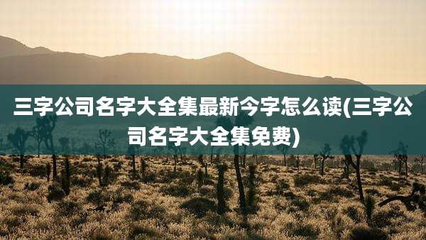 三字公司名字大全集最新今字怎么读(三字公司名字大全集免费)