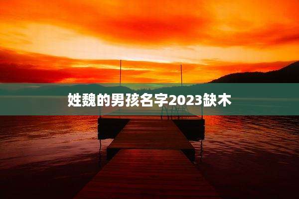 姓魏的男孩名字2023缺木