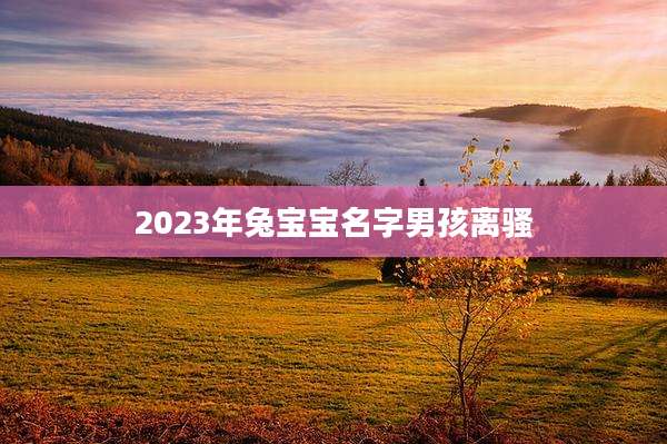 2023年兔宝宝名字男孩离骚