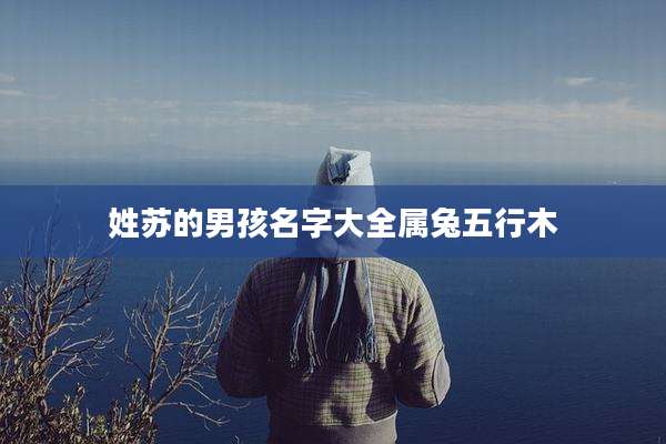 姓苏的男孩名字大全属兔五行木