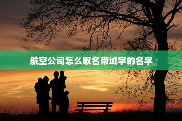 航空公司怎么取名带域字的名字