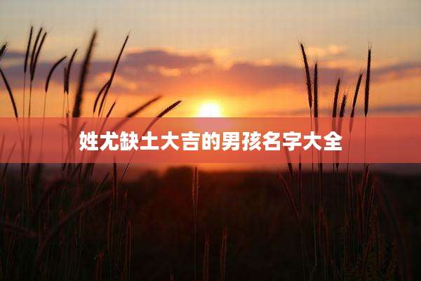 姓尤缺土大吉的男孩名字大全