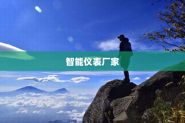 智能仪表厂家