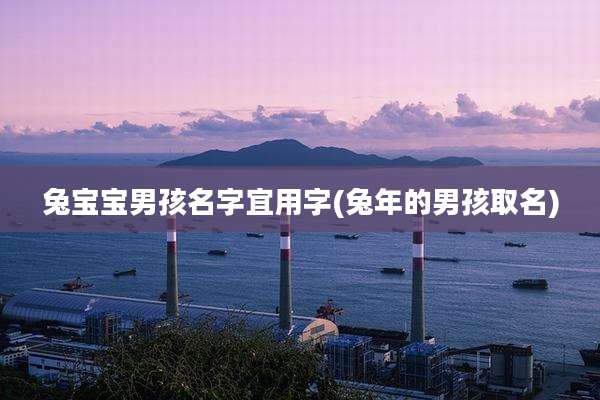 兔宝宝男孩名字宜用字(兔年的男孩取名)