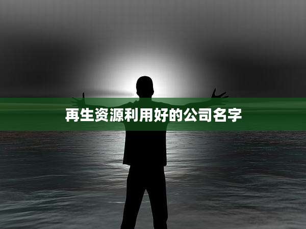 再生资源利用好的公司名字
