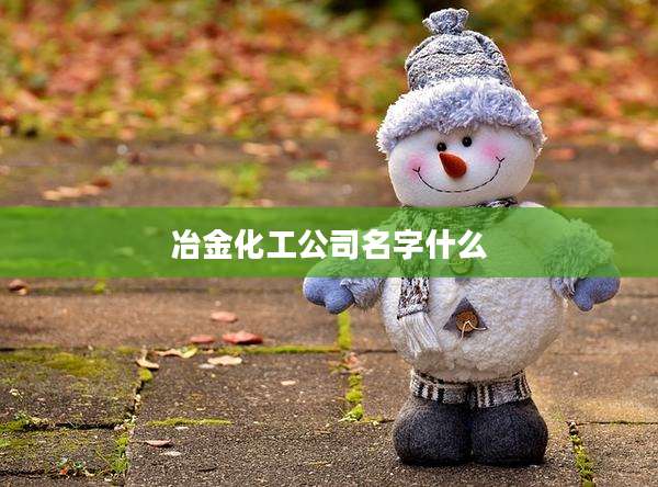 冶金化工公司名字什么