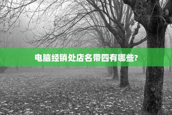 电脑经销处店名带四有哪些?