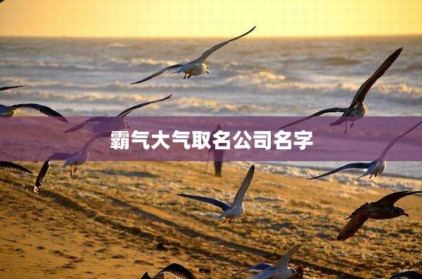 霸气大气取名公司名字