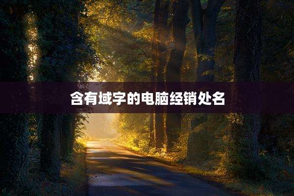 含有域字的电脑经销处名