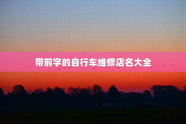 带前字的自行车维修店名大全
