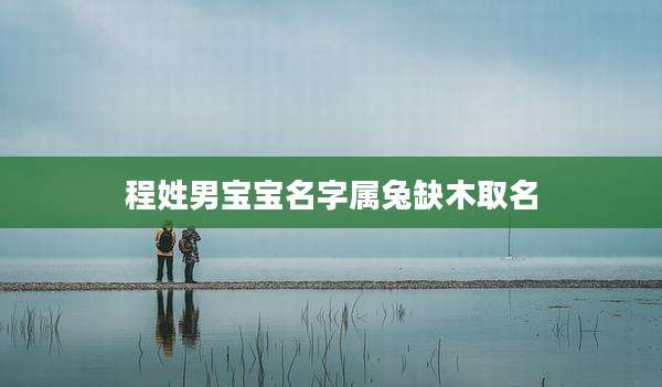 程姓男宝宝名字属兔缺木取名