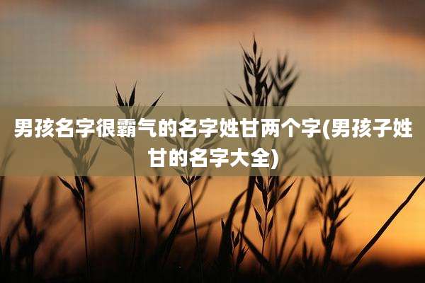男孩名字很霸气的名字姓甘两个字(男孩子姓甘的名字大全)