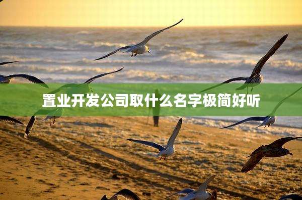 置业开发公司取什么名字极简好听