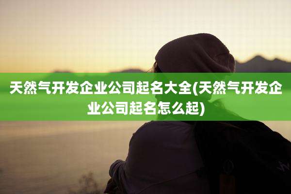 天然气开发企业公司起名大全(天然气开发企业公司起名怎么起)