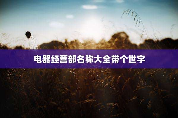 电器经营部名称大全带个世字