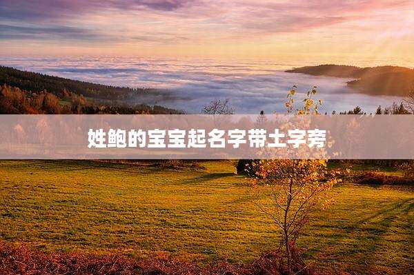 姓鲍的宝宝起名字带土字旁