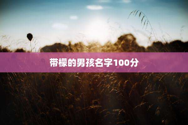 带檬的男孩名字100分