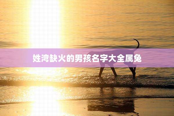姓湾缺火的男孩名字大全属兔
