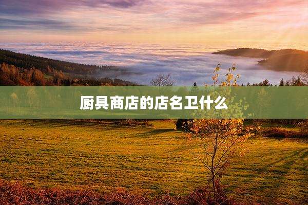 厨具商店的店名卫什么