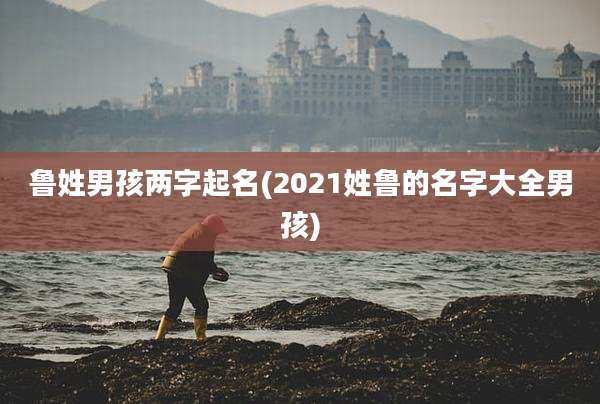鲁姓男孩两字起名(2021姓鲁的名字大全男孩)